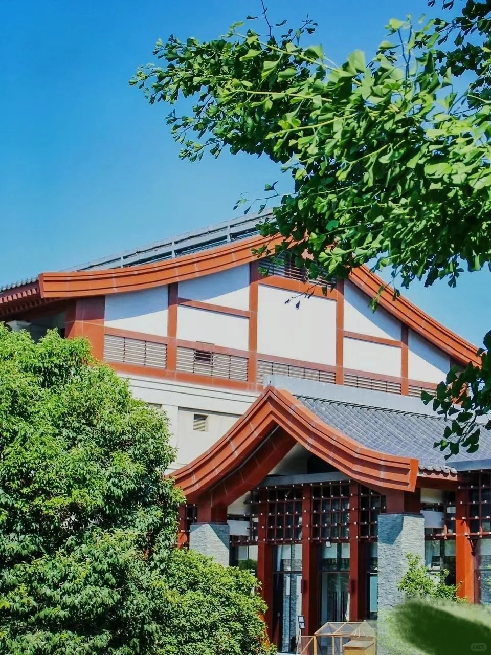 西安临潼悦椿温泉酒店_3_小海洋_来自小红书网页版.jpg