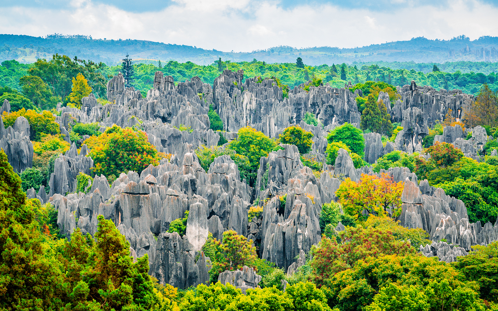 Stone Forest Wonders and Food Classroom