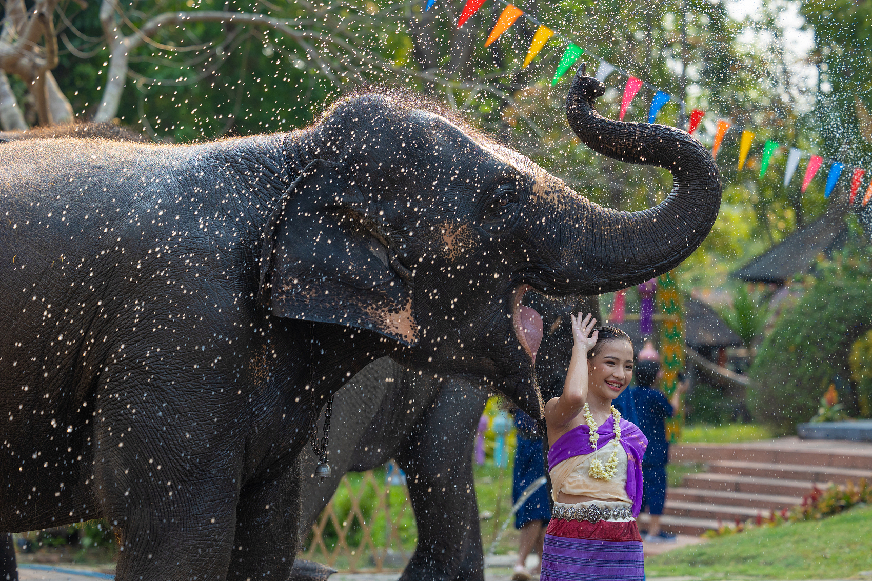 Elephant Conservation and Rainforest Exploration